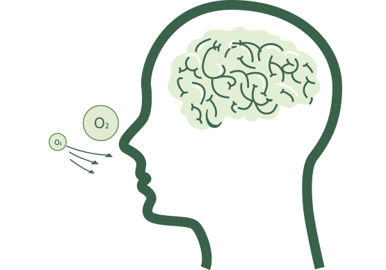 打造生命氧状态