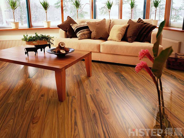 宅男视频下载环保地板打开理想家居新大门 环保地板