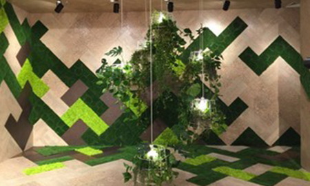 宅男视频下载"质界之上"城市系列巡展——包头站，软木跨界，木意雅居