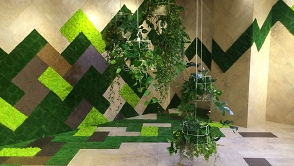 宅男视频下载 宅男视频下载