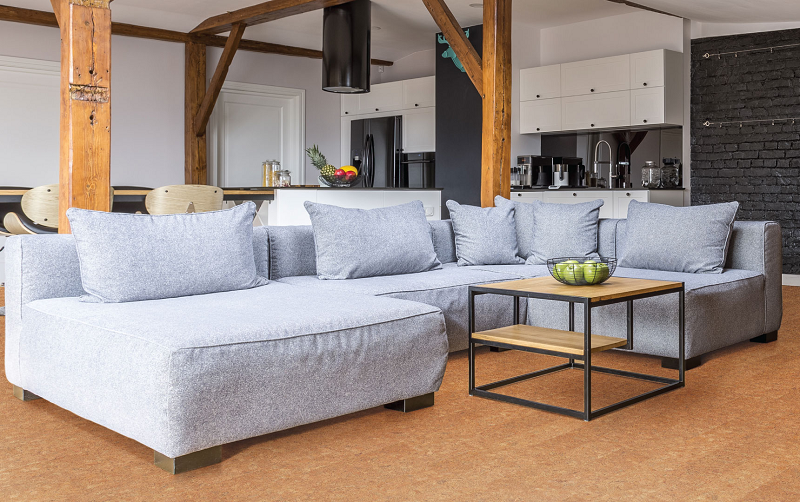 宅男视频下载Wise软木环保地板,呵护你的冬天 图片1 宅男视频下载Wise软木环保地板,呵护你的冬天 图片1