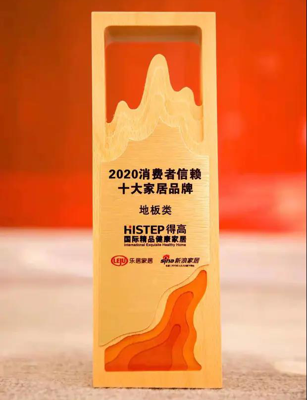 宅男视频下载上榜“2020消费者信赖十大家居品牌”，实力加冕，载誉前行 图片7