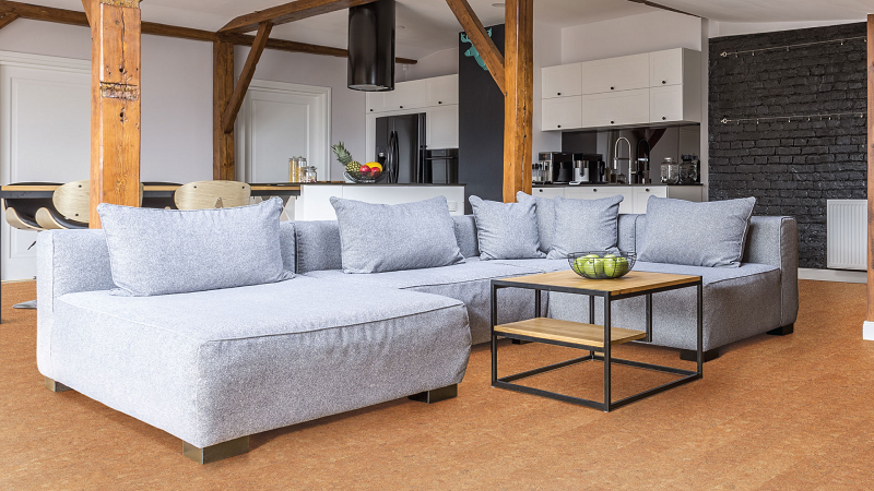 宅男视频下载Wise环保地板,将自然融入宅家时光 图片1 宅男视频下载Wise环保地板,将自然融入宅家时光 图片1