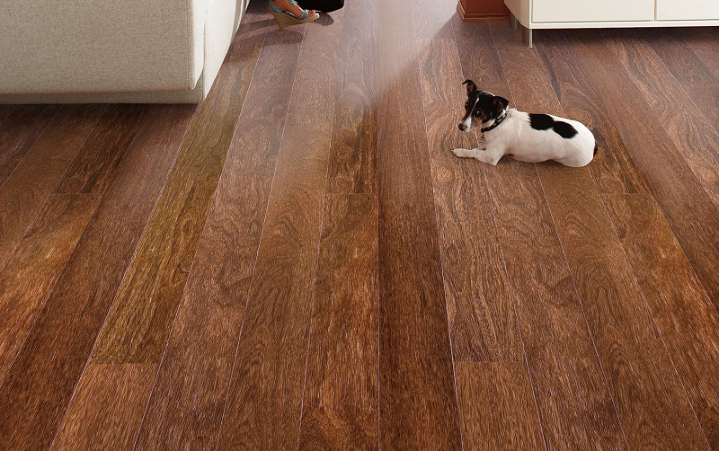 宅男视频下载Parky进口地板,给家居添上艺术底色 图片1 宅男视频下载Parky进口地板,给家居添上艺术底色 图片1