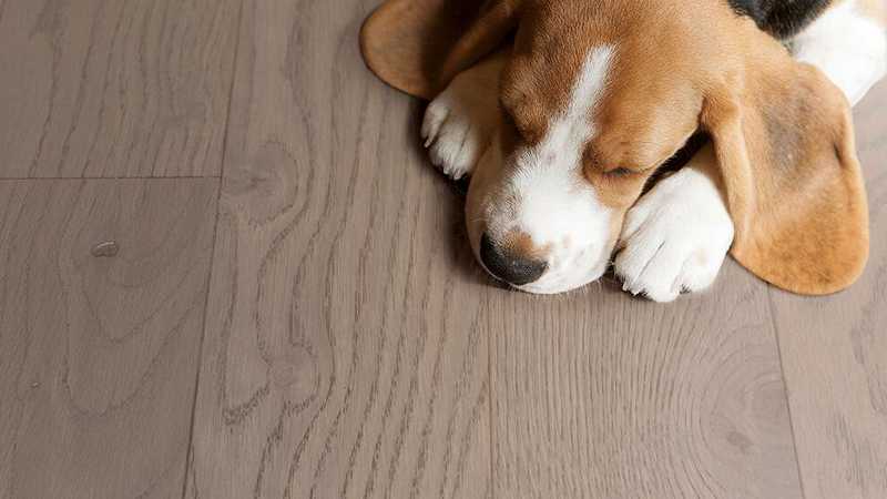 宅男视频下载环保地板严标准、高品质! 图片7 宅男视频下载环保地板严标准、高品质! 图片7