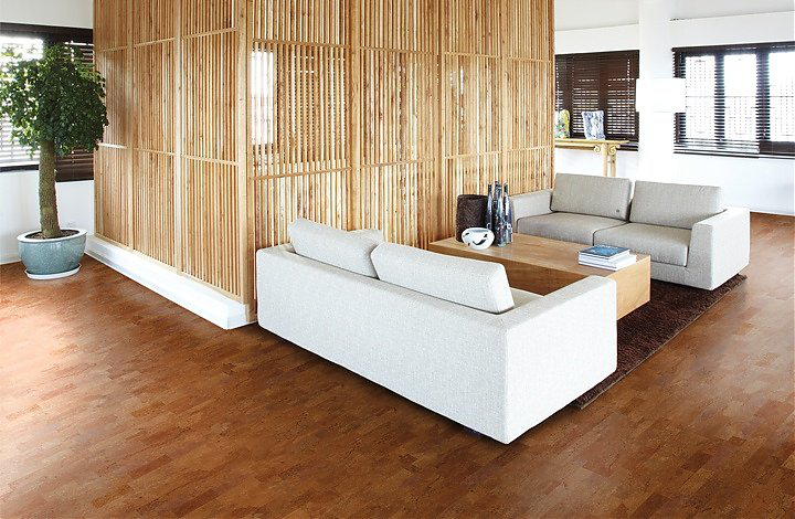 宅男视频下载Wicanders进口地板,温馨软木常伴左右 图片9 宅男视频下载Wicanders进口地板,温馨软木常伴左右 图片9