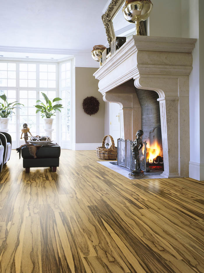 盘点宅男视频下载Par-ky进口地板的高光时刻 图片2