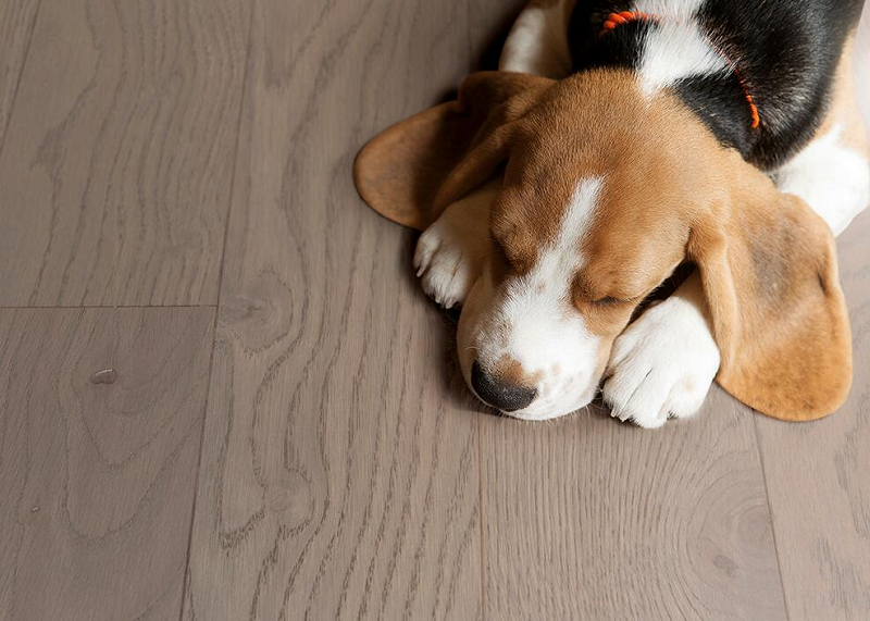 盘点宅男视频下载Par-ky进口地板的高光时刻 图片1