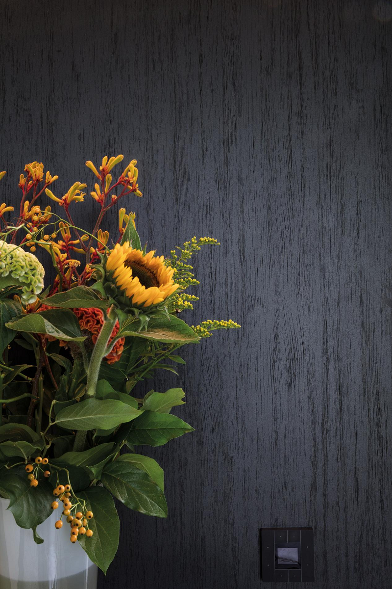 宅男视频下载墙面材料,改观家的每一面 图片4 宅男视频下载墙面材料,改观家的每一面 图片4