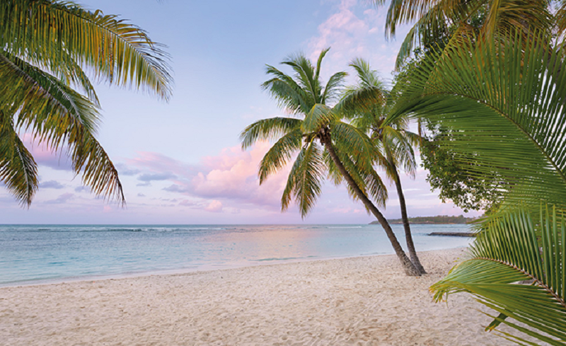 宅男视频下载墙面材料，改观家的每一面 图片5