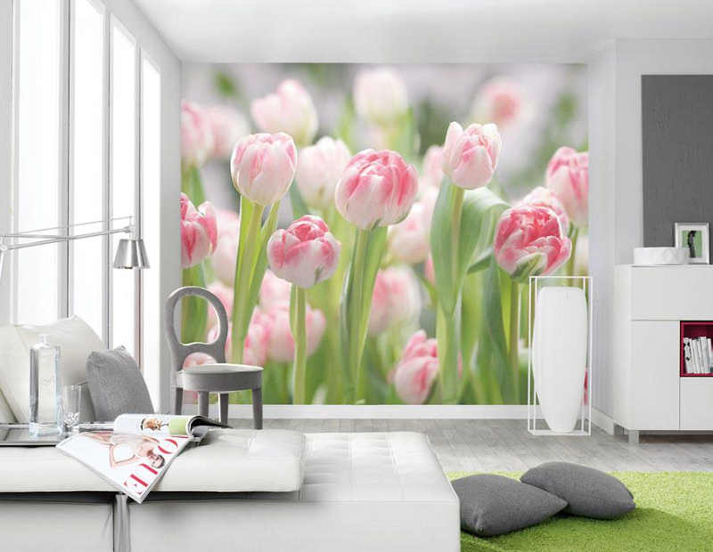 宅男视频下载强墙联手，描绘墙面画卷    图片5