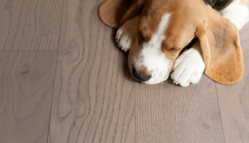 越科技,悦生活 图片3 越科技,悦生活 图片3