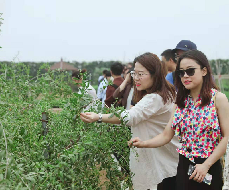 新浪家居“质造行”，共证宅男视频下载品牌力量，推动品质持续升级 图片2