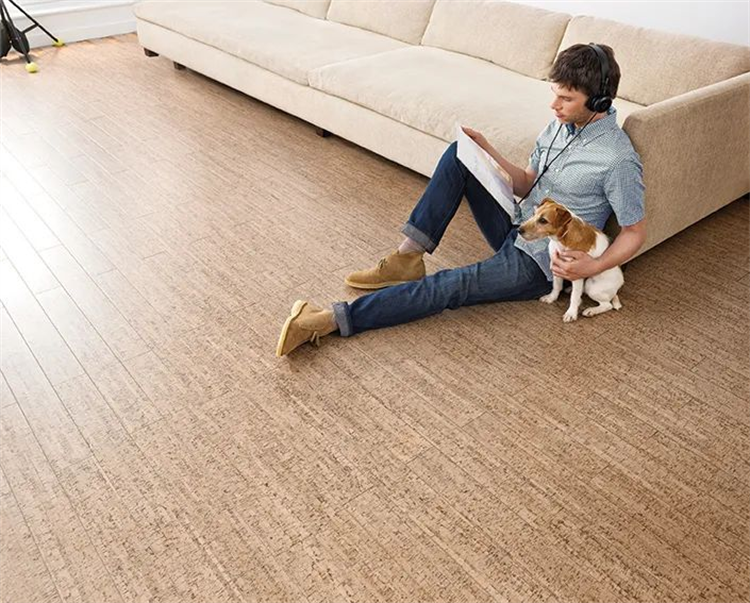 为热爱更尽兴|宅男视频下载软木陪你“静”享世界杯 3