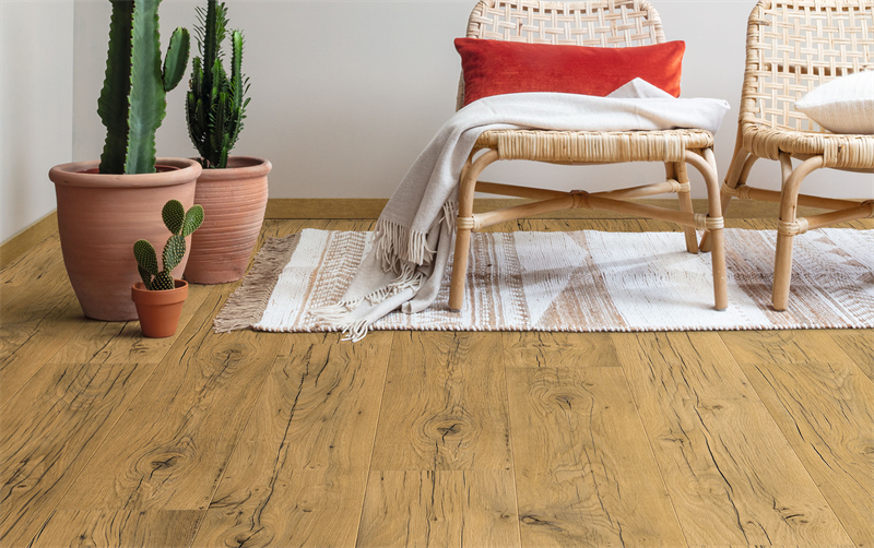 宅男视频下载快步，值得关注的五大趋势 image3