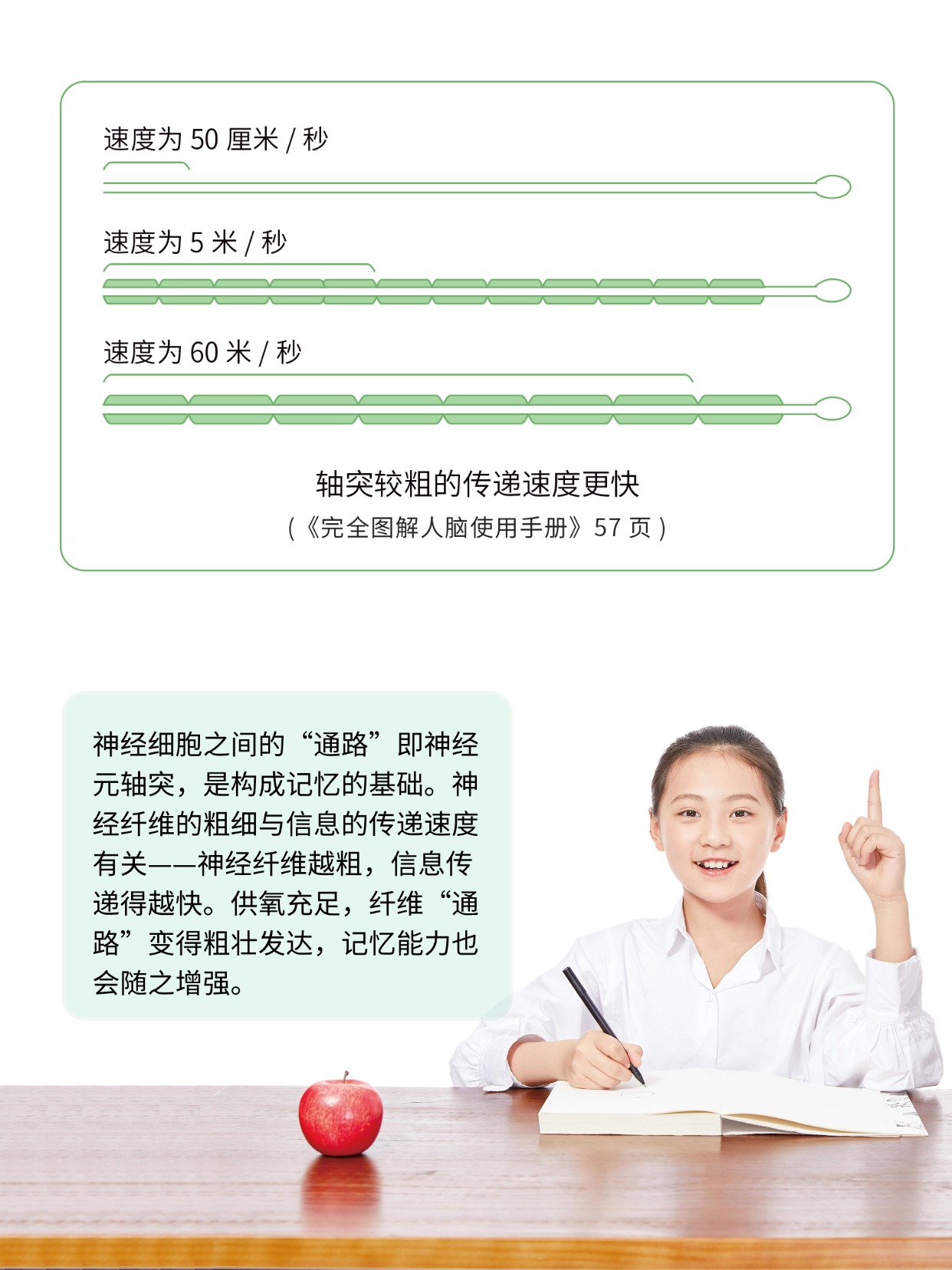 你听说过能补氧的桌子吗？有娃家庭直接抄作业 图片8