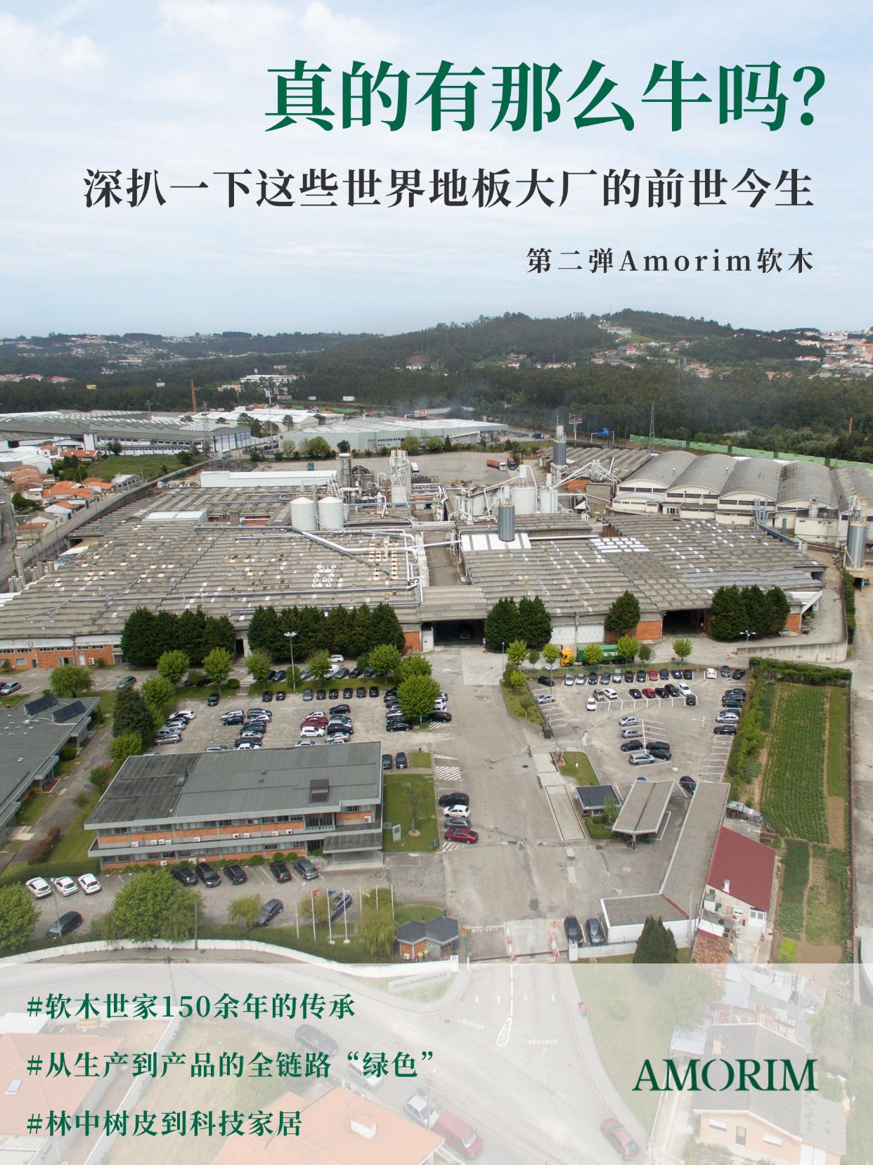 真的有那么牛吗？深扒一下这些世界地板大厂的前世今生 图片4