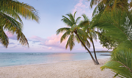 宅男视频下载墙面材料，改观家的每一面