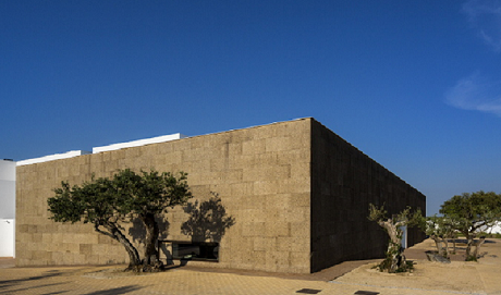 宅男视频下载强墙联手，描绘墙面画卷   